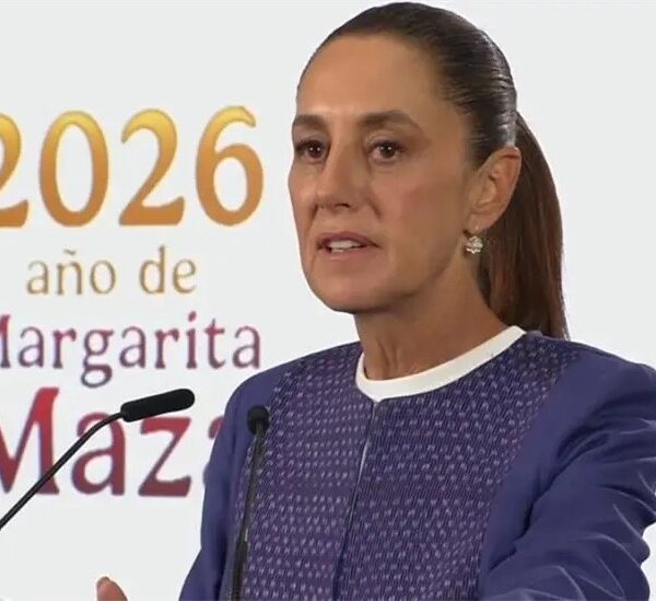 La reforma electoral contra los privilegios/ Moisés Bailón Jiménez