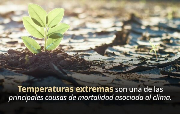 Secretaría de Salud impulsa investigación, toma de decisiones y acción comunitaria frente al cambio climático