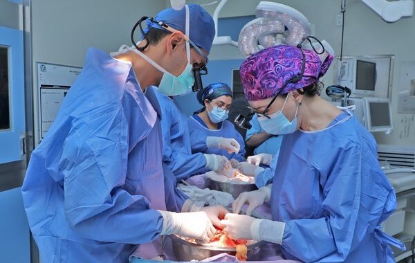 En tres días especialistas del IMSS en Sonora, Hidalgo y Tlaxcala realizan procuraciones multiorgánicas