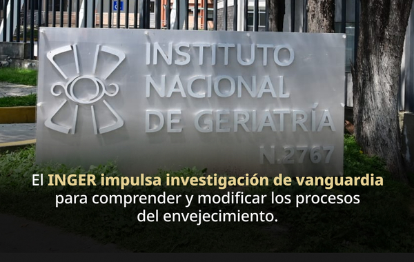 Laboratorio de Biología del Envejecimiento desarrolla estrategias para envejecer con mayor bienestar