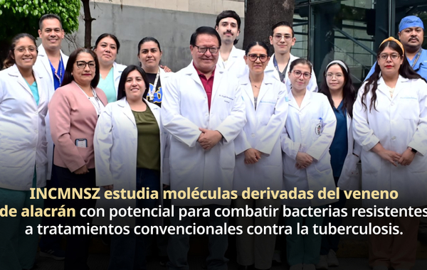 INCMNSZ investiga veneno de alacrán para desarrollar nuevos antibióticos contra la tuberculosis