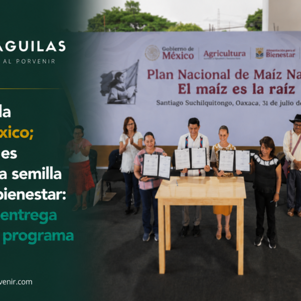 El maíz es la raíz de México; el objetivo es conservar la semilla y generar bienestar: Presidenta entrega apoyos del programa en Oaxaca