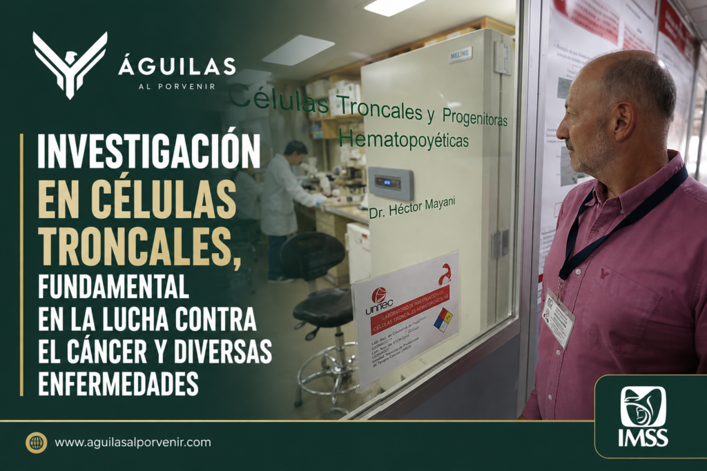 Investigación en células troncales, tundamental en la lucha contra el cáncer y diversas enfermedades