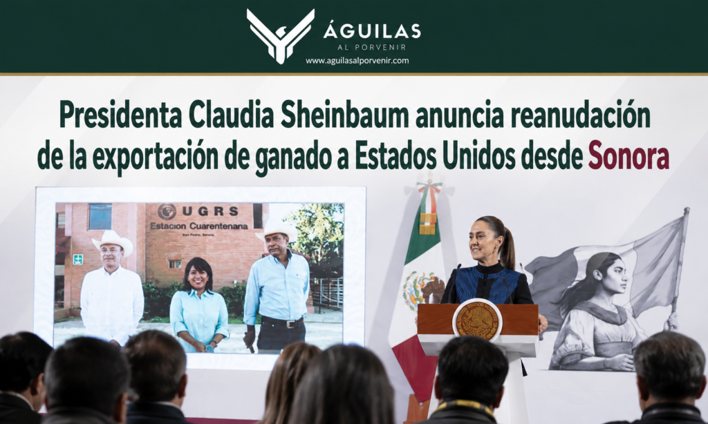 Presidenta Claudia Sheinbaum anuncia reanudación de la exportación de ganado a Estados Unidos desde Sonora