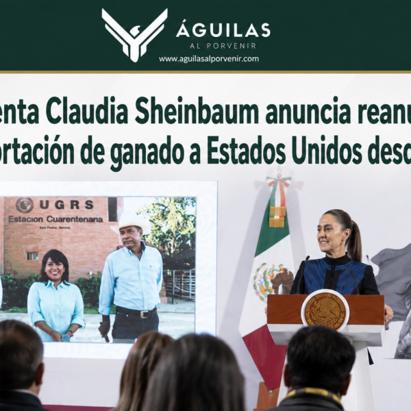 Presidenta Claudia Sheinbaum anuncia reanudación de la exportación de ganado a Estados Unidos desde Sonora