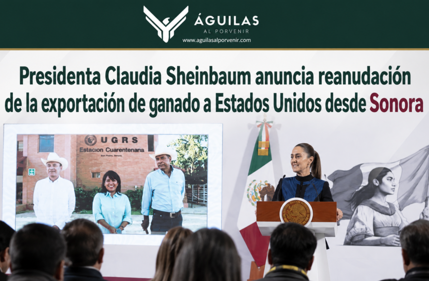 Presidenta Claudia Sheinbaum anuncia reanudación de la exportación de ganado a Estados Unidos desde Sonora
