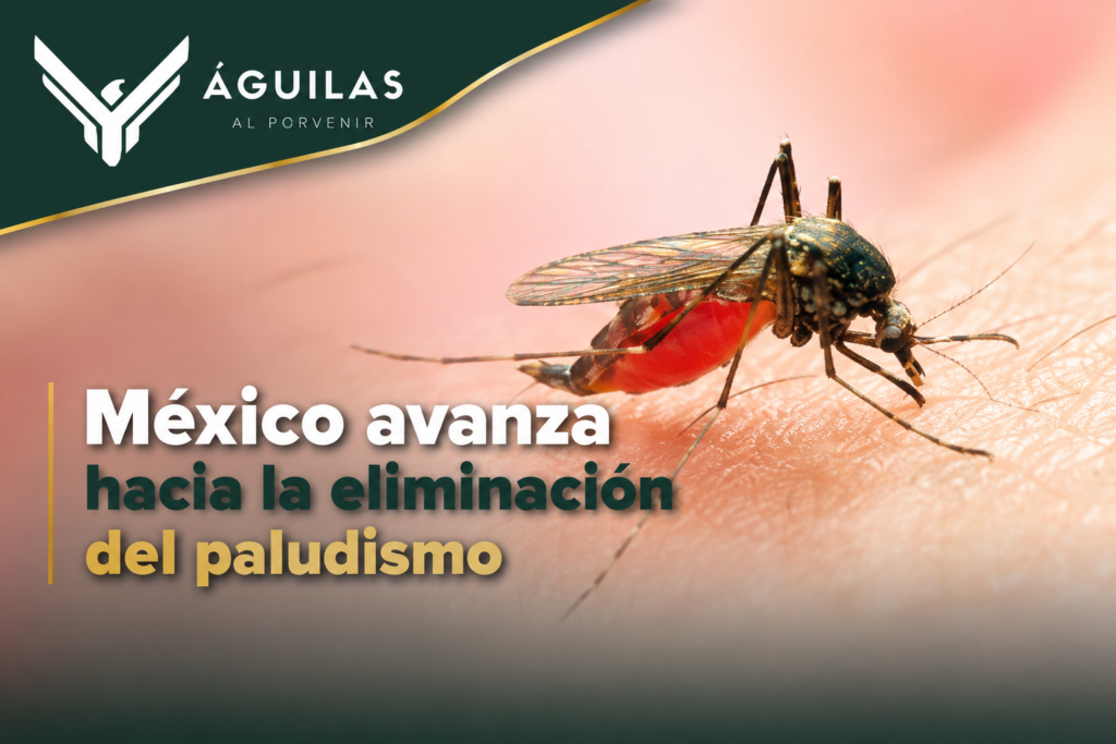 México avanza hacia la eliminación del paludismo