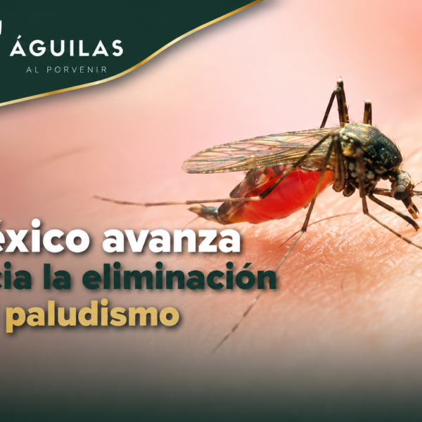 México avanza hacia la eliminación del paludismo
