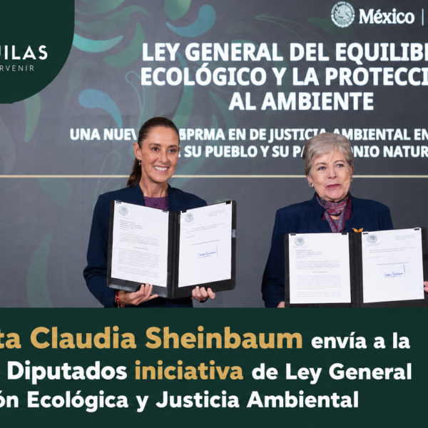 Presidenta Claudia Sheinbaum envía a la Cámara de Diputados iniciativa de Ley General de Protección Ecológica y Justicia Ambiental