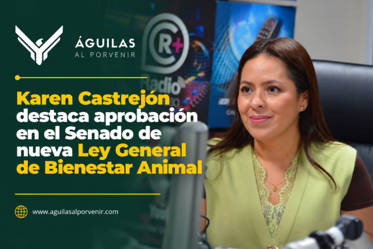 Karen Castrejón destaca aprobación en el Senado de nueva Ley General de Bienestar Animal